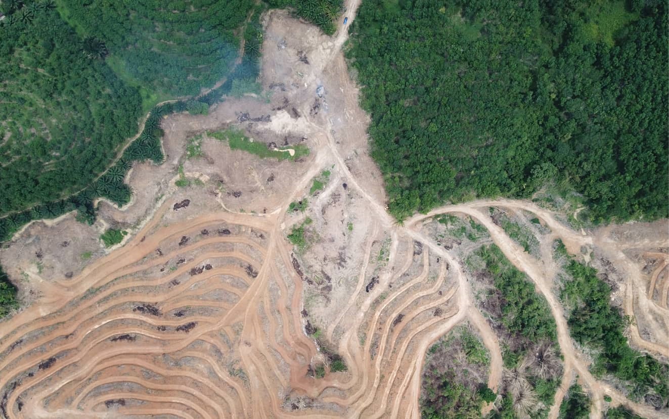 Deforestation in Amazon rainforest for plantations or grazing land