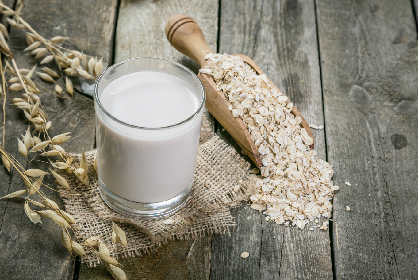 oat and oat milk on a rustic wooden bench for dairy alternative blog
